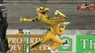 Top 10 best catches in cricket history || Top 10 Best Amazing Catches in Cricket History HD