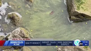 Health advisory: Harmful algal bloom in Skaneateles Lake