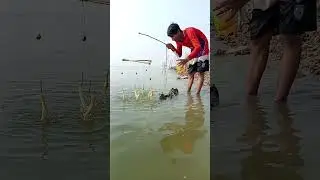 Really amazing fishing idea with chicken leg bait #fishing #fishinglife #shorts
