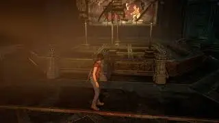 Uncharted: The Lost Legacy / Shadow Theater Trophy