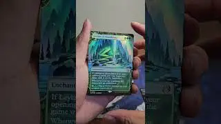Holiday's Collectors Pack #1 #wildsofeldraine