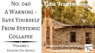 No. 040 - A Warning - Save Yourself From Systemic Collapse (SHAMANIC HEALING TRANSMISSION)