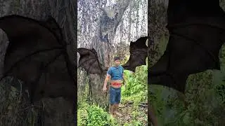 #aswang