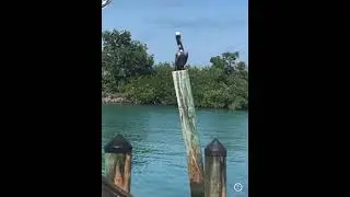 Ebike Tour Trip from Key West, FL to Key Largo Photologue