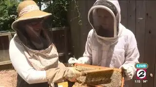 Backyard Beekeeping | HOUSTON LIFE | KPRC 2