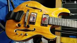 Ollandoc Guitar Everything Top of the Line Languedoc Phish Phred