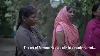 The destruction of Nepura cottage silk industry
