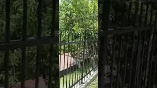 aer proaspăt