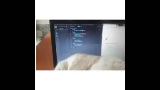 funny time with the cat ❣#webdevelopment #csstricks
