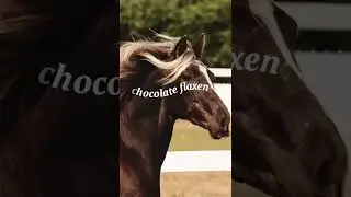 Rarest horse coats! // #equestrian #horse #horselovers #horseriding #animals #horses