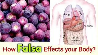 How Falsa Effects Your Body || Benefits of Falsa Juice| Grewia asiatica