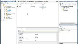 16, MSDN- WORKING WITH LOCAL DATA(BETH MASSI)