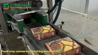 Food tray carton box packing machine | Servo control carton box packing machine | manufacturer