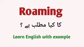 Roaming meaning in English to Urdu with example sentence 