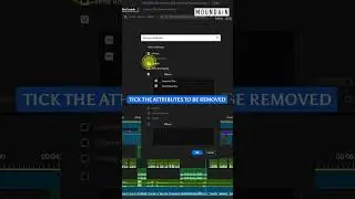 Remove effects from multiple clips  in Adobe Premiere Pro
