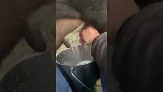 Hand milking