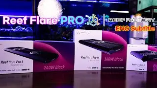 Reef Flare PRO Product Review - Marine Cost - ENG sub
