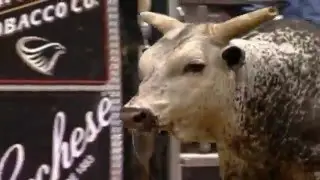 PBR GILBERT CARRILLO 96 On BLUEBERRY WINE