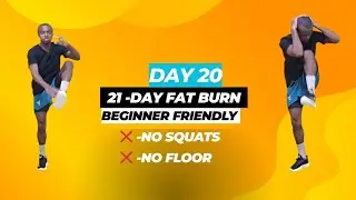 21 -Day All Standing Fat Burn Reset | Beginner Friendly -Day 20