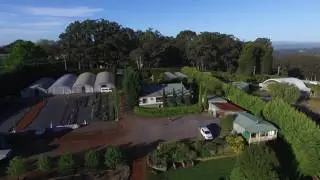 DJI P3 ADVANCED