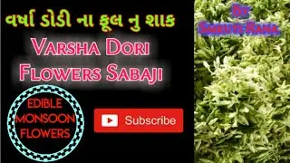 The Most Unique Delicious Simple Dish Prepared From Fresh Flowers 🌼 Varsha Dodi Na Phool Nu Shaak🌈