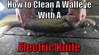 How To Clean A WALLEYE With an Electric Knife.