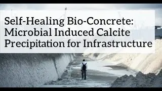 Self-Healing Bio-Concrete: Microbial Induced Calcite Precipitation for Infrastructure