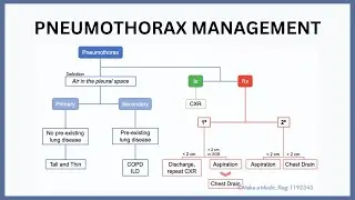 Pneumothorax Management Explained