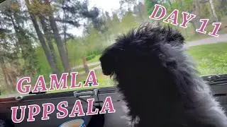 Exploring Gamla Uppsala | Day 11