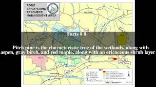 Rome Sand Plains Top # 16 Facts