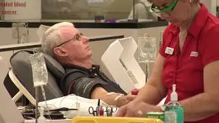 The journey of blood