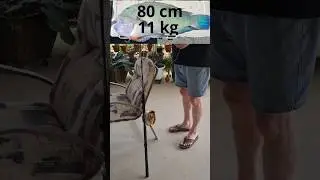 После поимки крупной рифовой рыбы