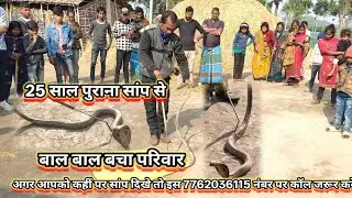 Snake rescue