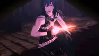 Fire Emblem: Awakening - Fate Clash II scene