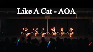 AOA (에이오에이) - Like A Cat (사뿐사뿐) | miXx it Up! 2023