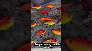 Are the bass going to see red this spring?  #shorts #bassfishing #bass