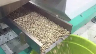 mini color  sorter sorting coffee beans