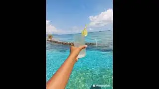 Dbladz - One Call Away - Solomon Islands Music 🇸🇧