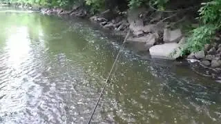 Fishing with zach