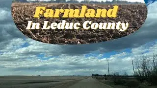 Leduc County Driving through picturesque agricultural farmland