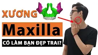 CÁCH ĐỂ CÓ GÓC NGHIÊNG & JAWLINE THẦN THÁNH (ÁP DỤNG KHOA HỌC: XƯƠNG MAXILLA VÀ MEWING) | Men’s Bay