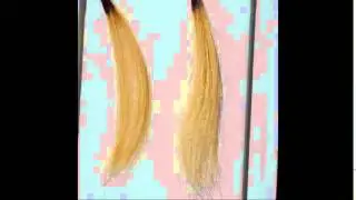 ULTRA BOND SEAL