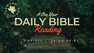 Day 222 |  Daily Bible Reading |  Salvation Promised |  Isaiah 59-63