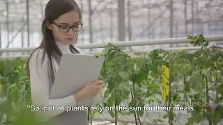 Unraveling the Secrets of Plant Physiology!