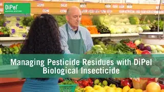 Managing Pesticide Residues with DiPel Biological Insecticide