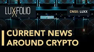 Luxxfolio; Diving into the Current State of Crypto and Bitcoin, and the Influence of Elon Musk