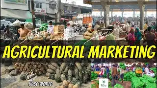 Agricultural Marketing in India: Issues, Reforms & Government Initiatives | UPSC GS3 Explained