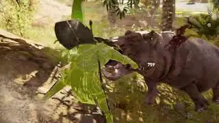 Assist Rebels | Protect Allies | Rogue Animal | Exterminate Threat |  Assassin's Creed Origins