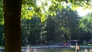 Badeverhalten Im Naturbad Kiwitttsmoor