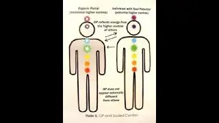 I AM AN ORGANIC PORTALS!
